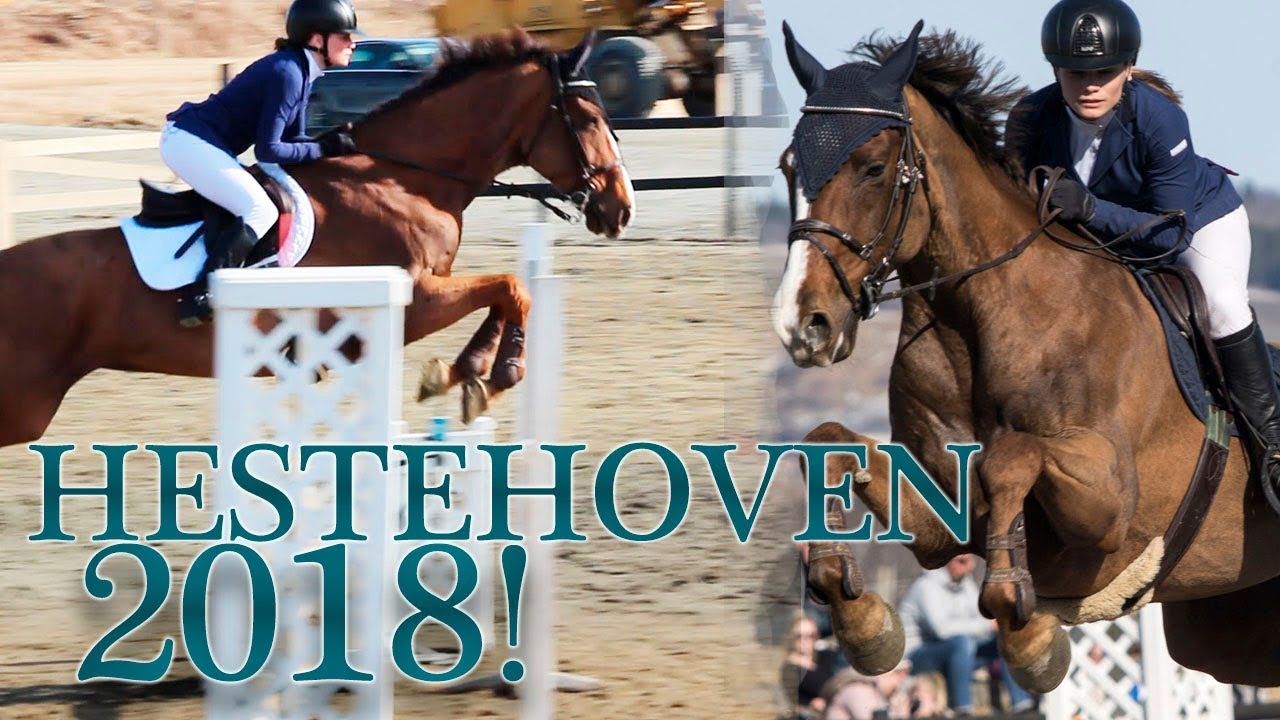 VLOGG: HESTEHOVEN 2018!
