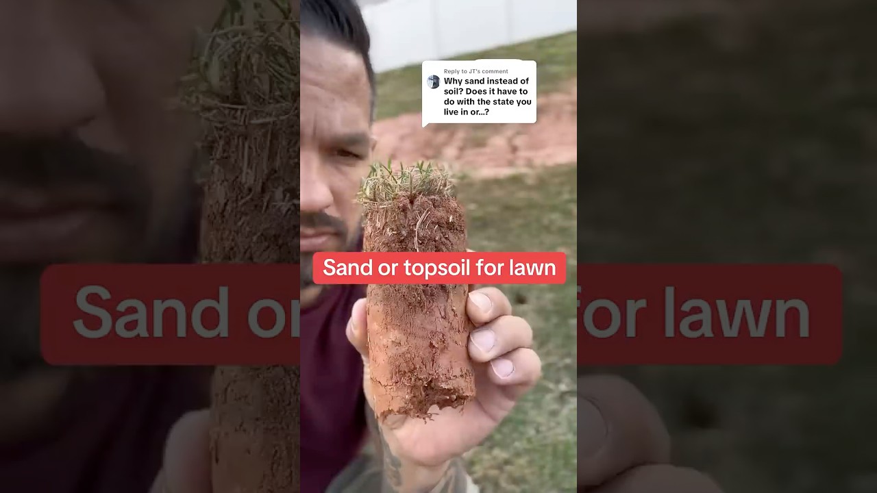 When should you use sand vs topsoil on Bermuda grass