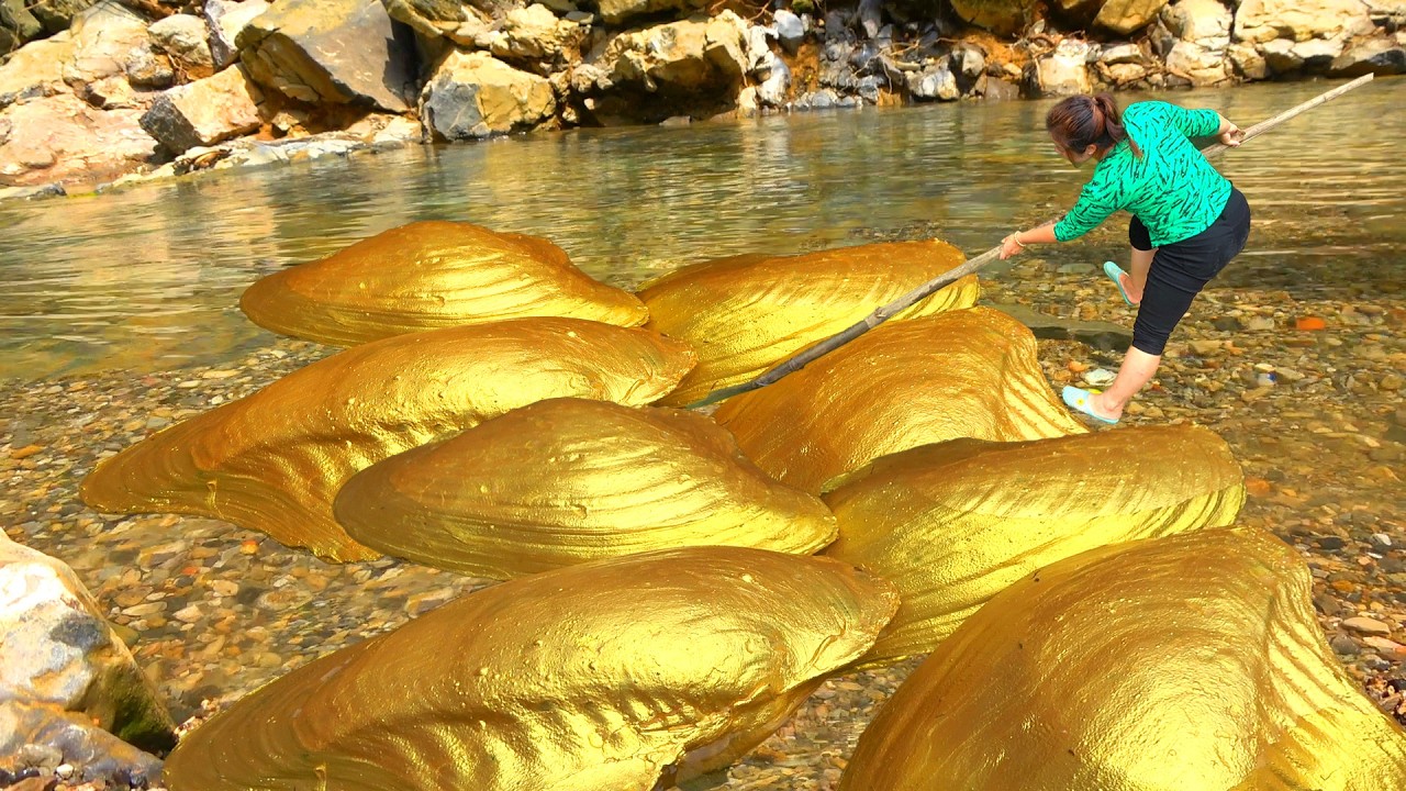 😱😱😱I found a few golden pearl clams, they are too expensive