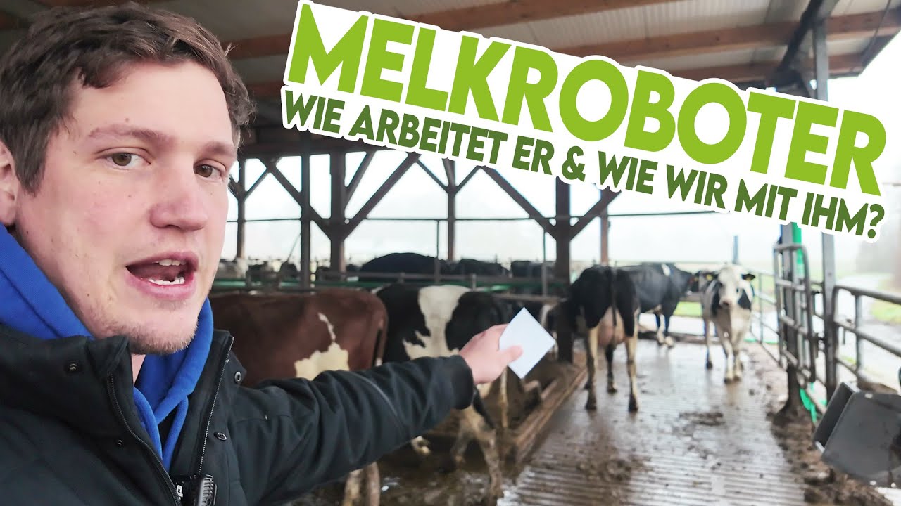 🐄 Melkroboter: Wie arbeiten wir damit? Und wie funktioniert er?