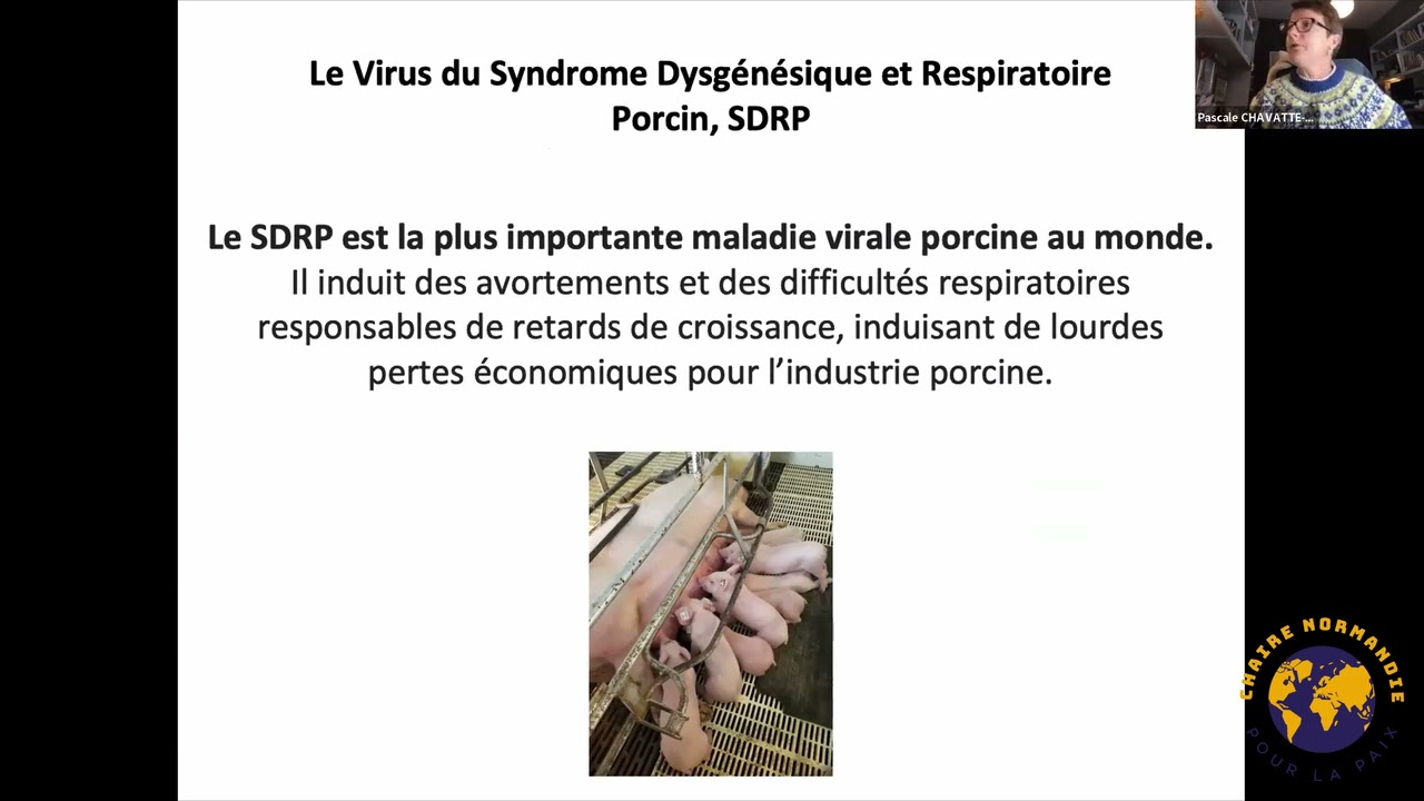 Les animaux transformés : de la sélection génétique aux nouvelles technologies