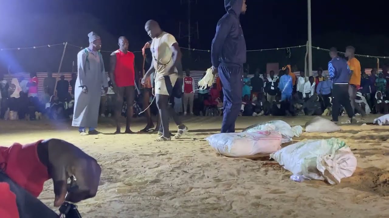 Thiow amna Lamb poponguine 16 janvier 2026