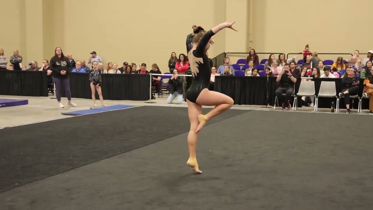 Hayden Dames 2nd Floor 9.5 Charleston Cup 2026 Wildfire Gymnast Level 6
