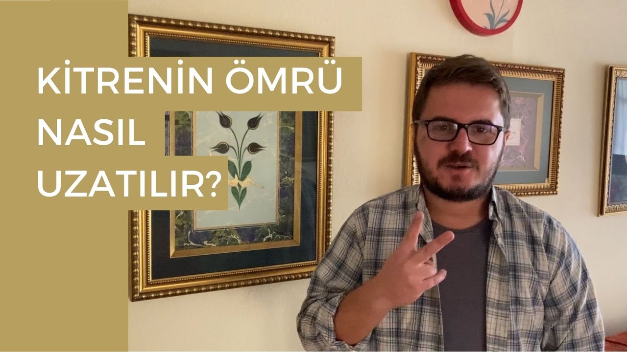 Kitrenin (Deniz Kadayıfının) Ömrünü Nasıl Uzatabiliriz? | Ebru Sanatı