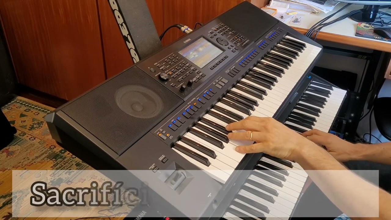 DIVINO CORAÇÃO  ( SHALOM ) - PLAYBACK.