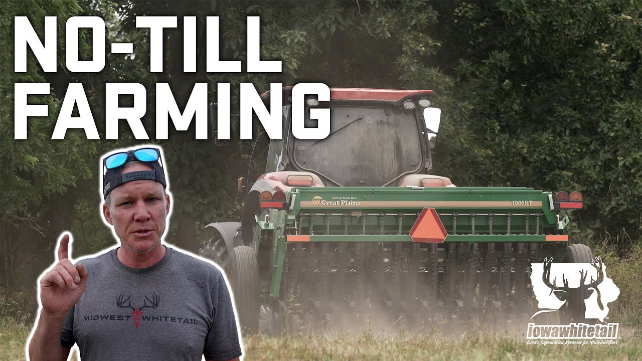 NO TILL DRILL - Everything YOU NEED to know! | Iowa Whitetail