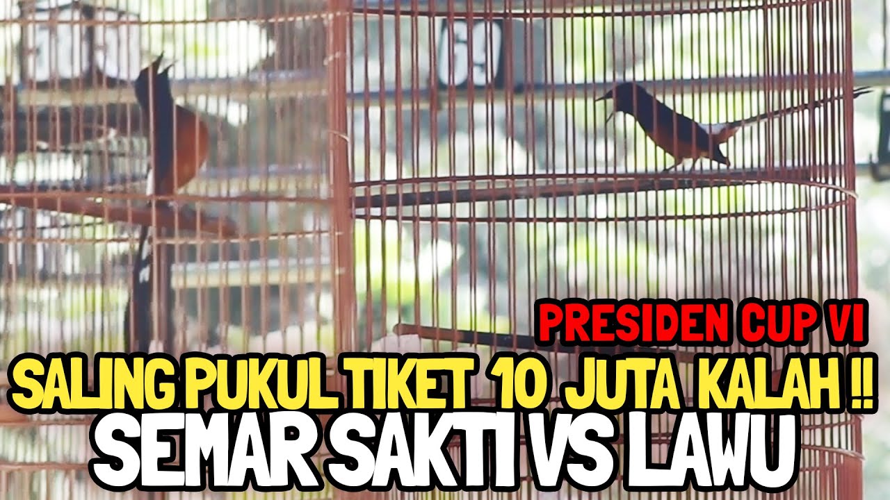 PRESIDEN CUP VI : SALING PUKUL TIKET 10 JUTA 😱 SEMAR SAKTI VS LAWU || MURAI BATU INI KALAH ??
