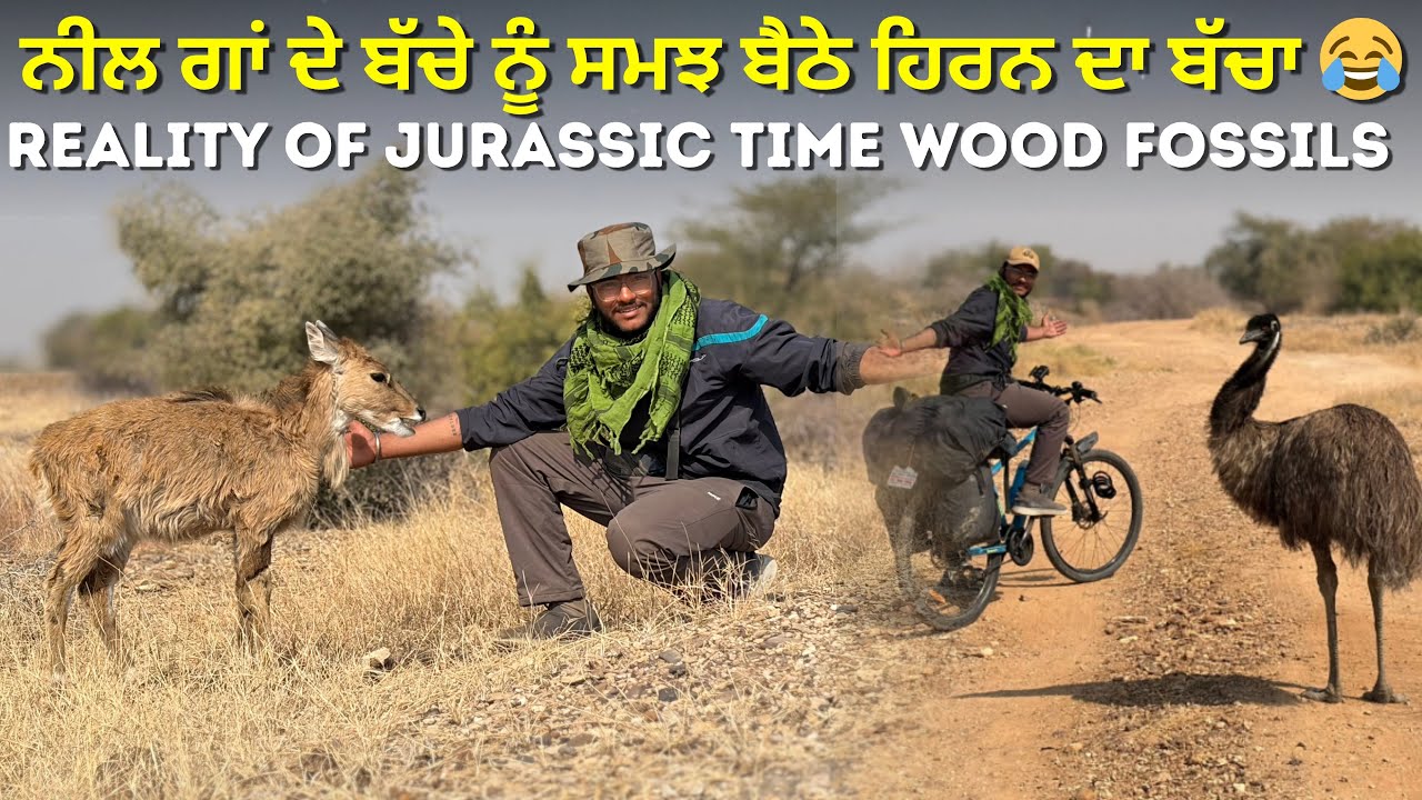 ਰਾਜਸਥਾਨ ਚ’ ਮਸਾਈ ਮਾਰਾ ਕੀਨੀਆ 🇰🇪 ਵਰਗੇ ਮੈਦਾਨਾਂ ਦੀ ਸਫਾਰੀ 😎 | Cycled Through The Indian Masai Mara