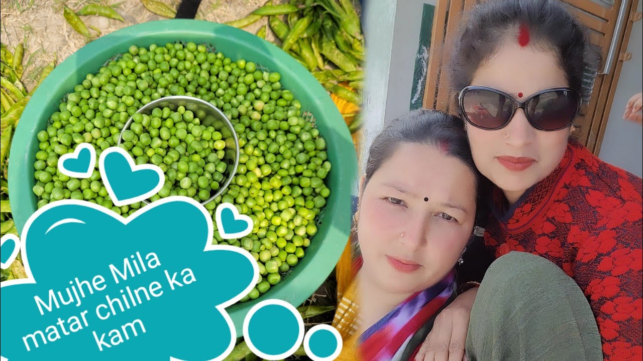 Aaj Dikhati hun aapko Garden#itne sare matar#Aaj tabiyat kuchh khas Nahin#daily routine #daily vlog