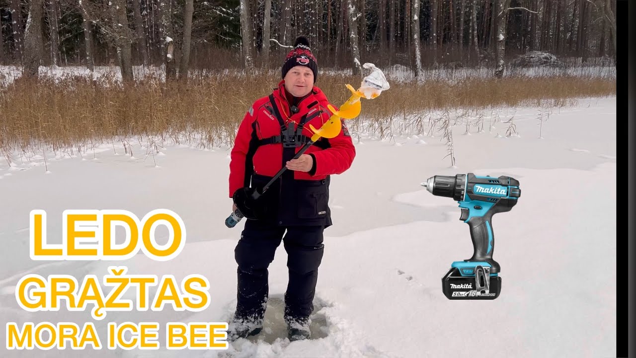 PAMASTYMAI APIE LEDO GRĄŽTĄ MORA ICE BEE 2023