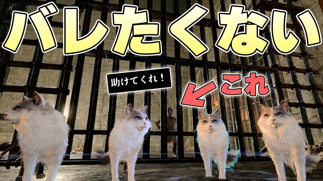 牢屋に囚われた6人の囚人を全く看守にバレることなく脱獄させることはできるのか【バルダーズゲート3実況】