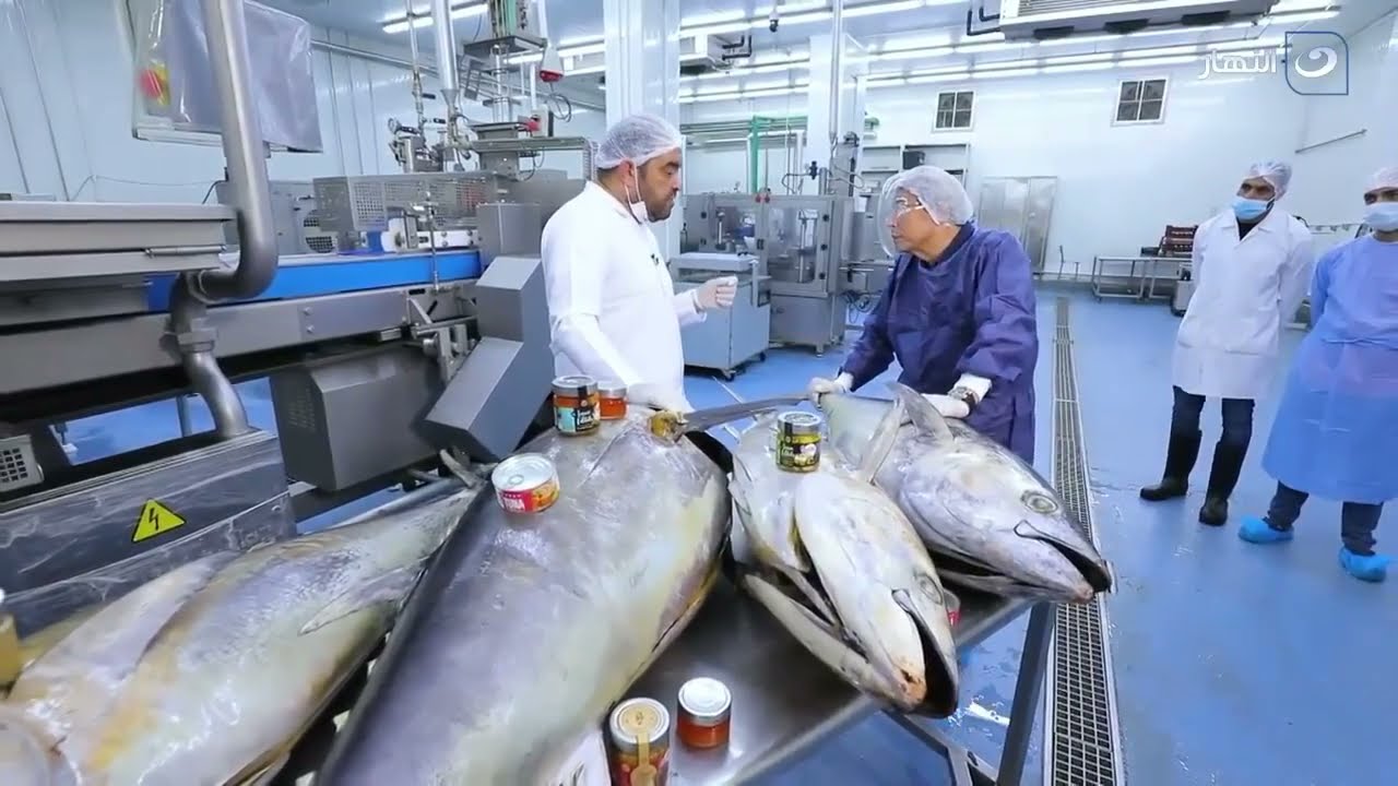 صدق أولا تصدق.. أحنا عندنا سمك تونة في مصر.!! تعالوا ناخدكم المصنع الوحيد اللي بيصنع تونة مصر ١٠٠٪؜