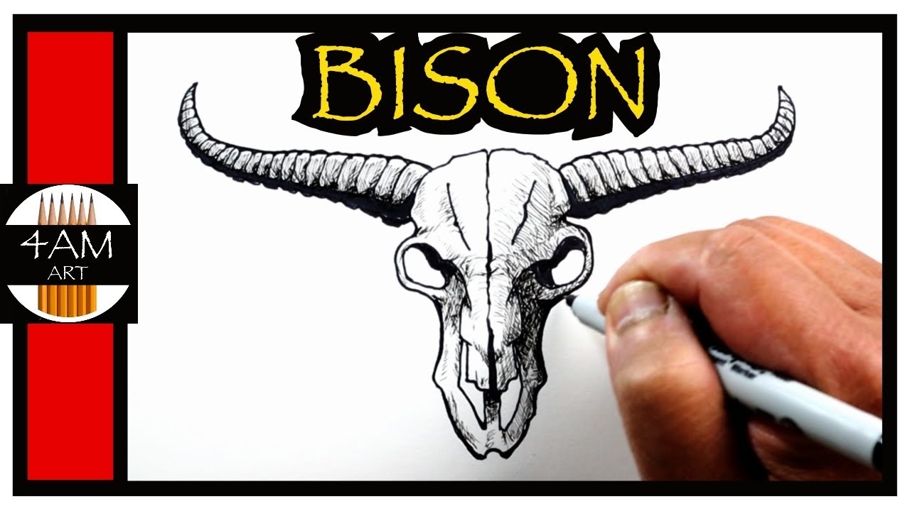 How to Draw a BISON SKULL