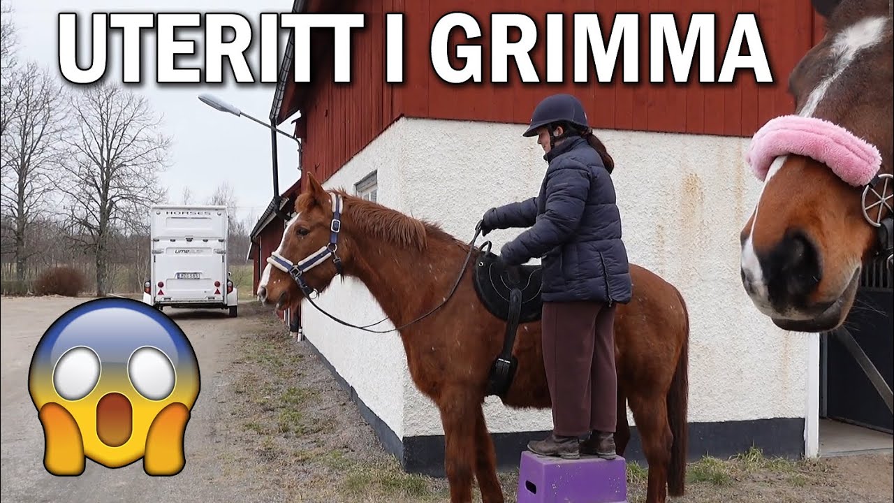 Stallvlogg - Uteritt i grimma, hopptr&auml;ning och testar hack!