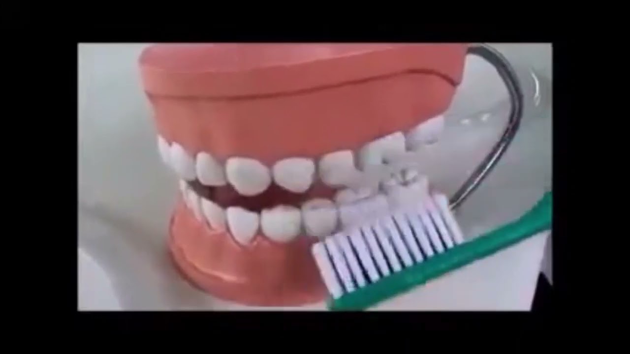 Salud Oral 1