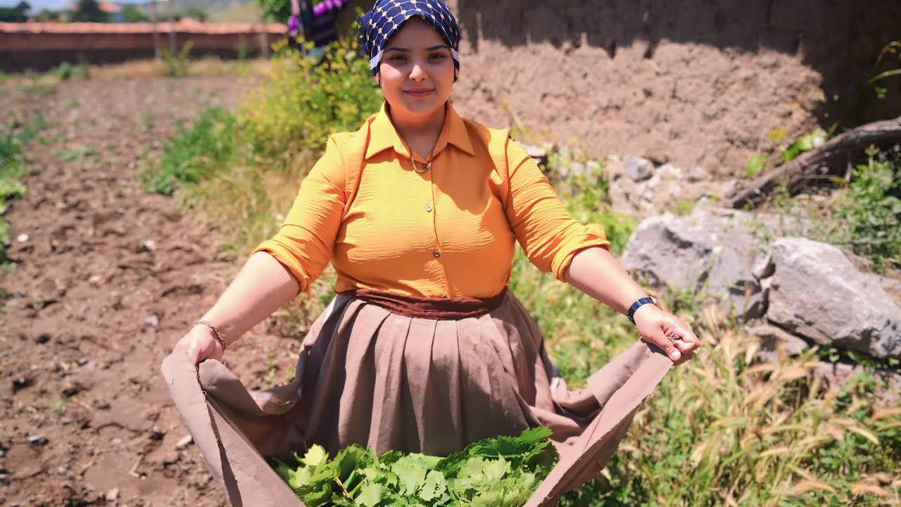 Asma Yaprağı Topladık fidelerimizi suladık yemek yedik 🌹