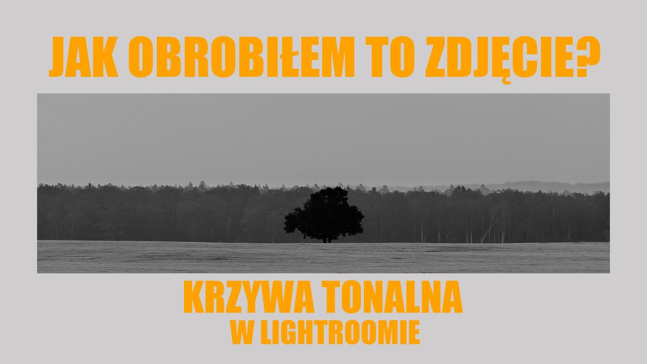Jak obrobiłem to zdjęcie? Krzywa tonalna w Lightroomie
