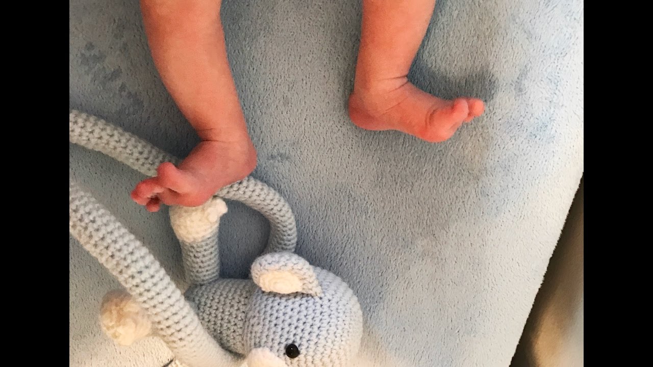MEET BABY SEBASTIAN & NEW MODAMOB UPDATES