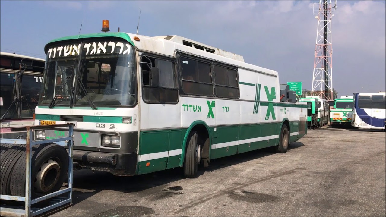 מוזיאון האוטובוסים של עמית שחר