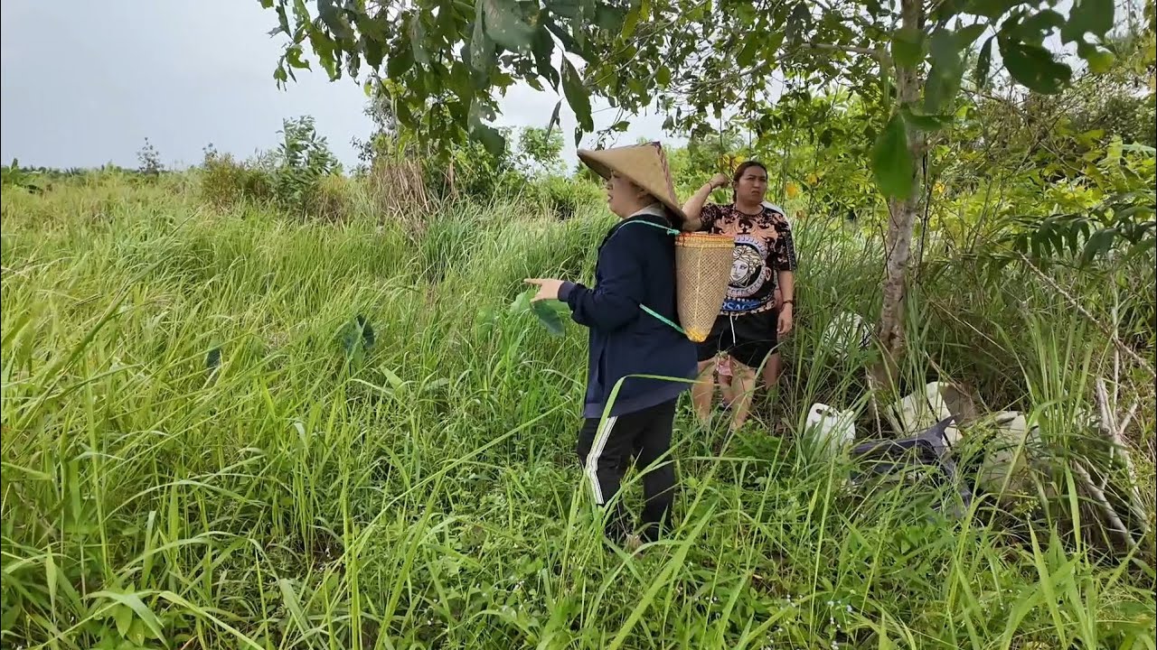 Kebun Kecil Pun Boleh Buat Tersesat ( Tesat Baik Bala Madik )