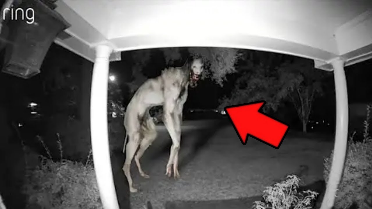 10 V&Iacute;DEOS REAIS DE FANTASMAS E DE TERROR MUITO ASSUSTADORES!