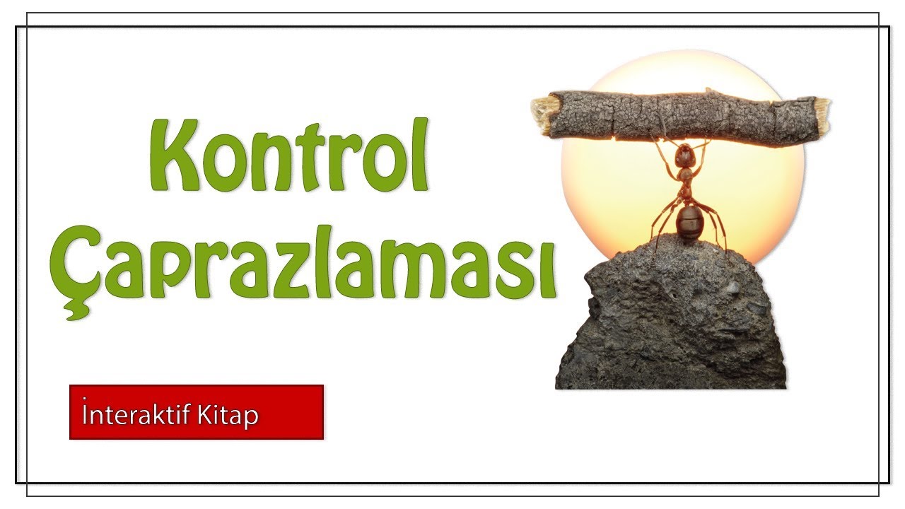 Kontrol Çaprazlaması #sayfa150