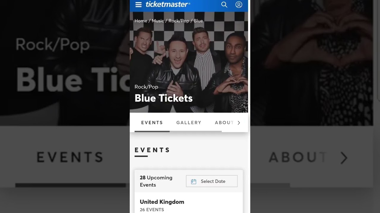 I Wish I'd Known This Sooner About Accessible Concert Tickets!