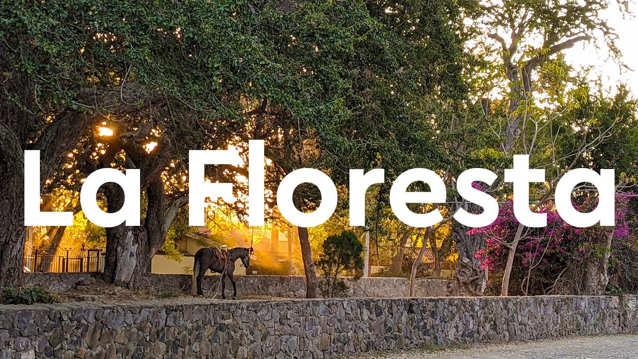 Why La Floresta in Ajijic is Loved by Families