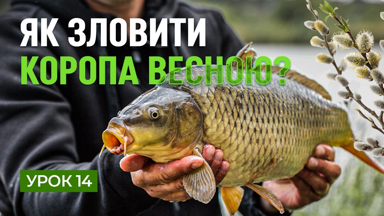 🐟 ЯК ЛОВИТИ КОРОПА РАННЬОЮ ВЕСНОЮ? — Рибальська школа Flagman! — Урок 14