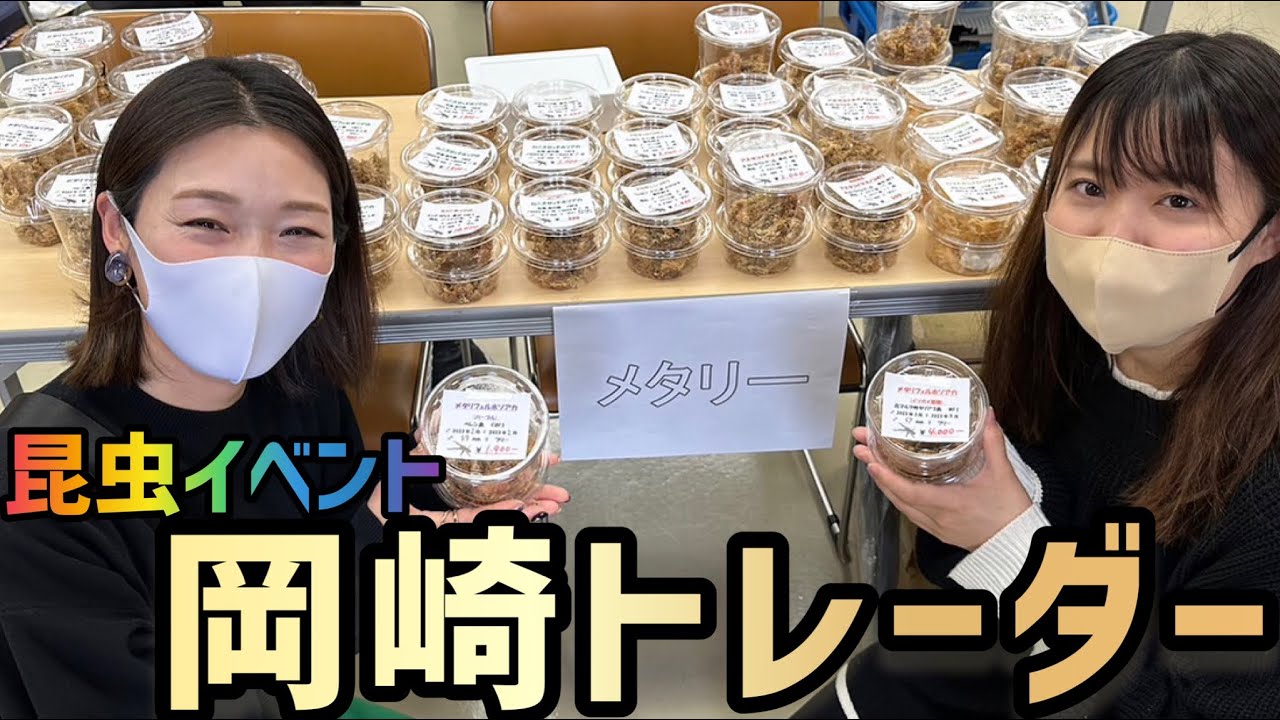 【昆虫イベント】岡崎トレーダーに参加したら世界中の昆虫がたくさんいて楽し過ぎた！！