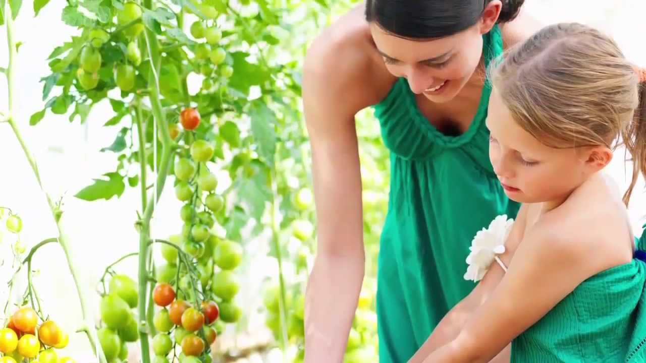 System Zolpachrom 3 Prezentacja Palety Kolor&oacute;w