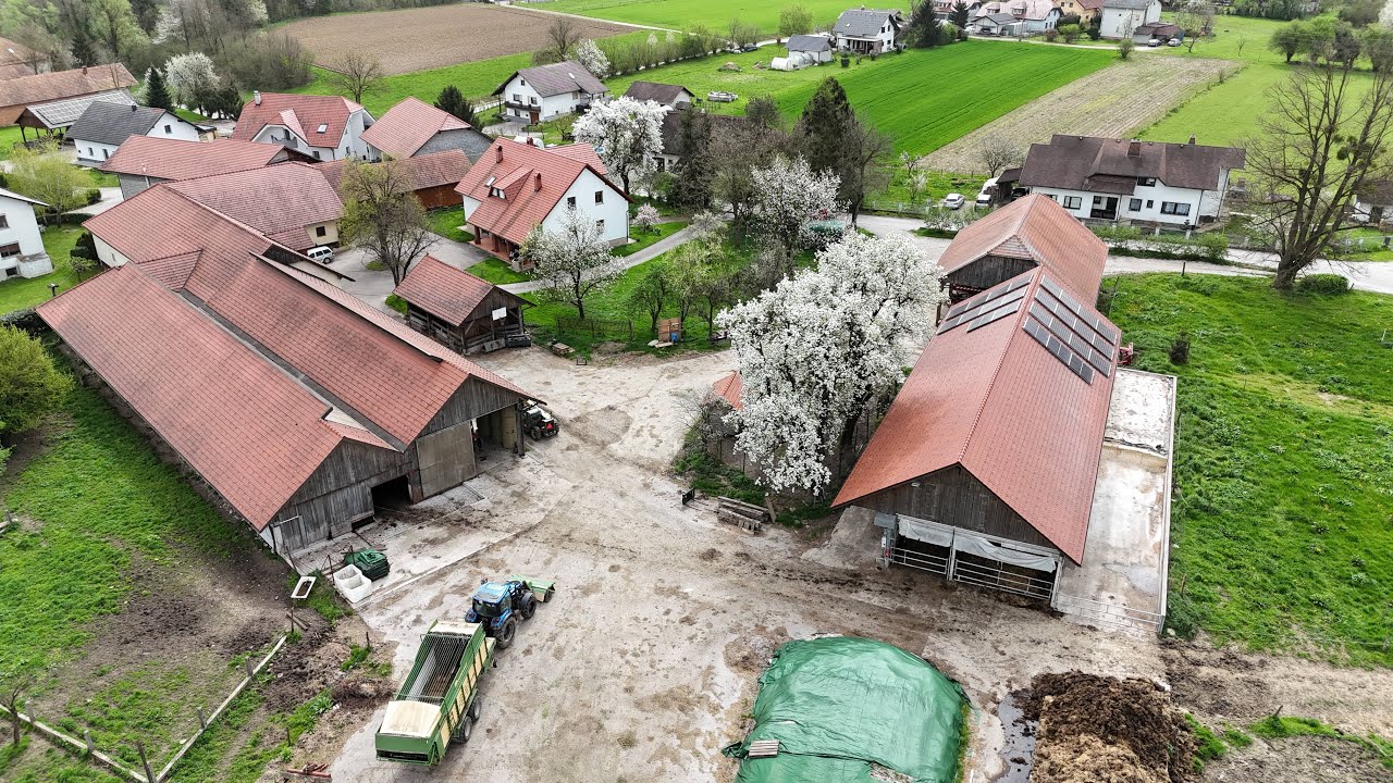 Ekološka Kmetija Žnideršič: Preprost hlev,🐄 veliko srce❤️ / Ljudje in zemlja👨‍🌾☘️