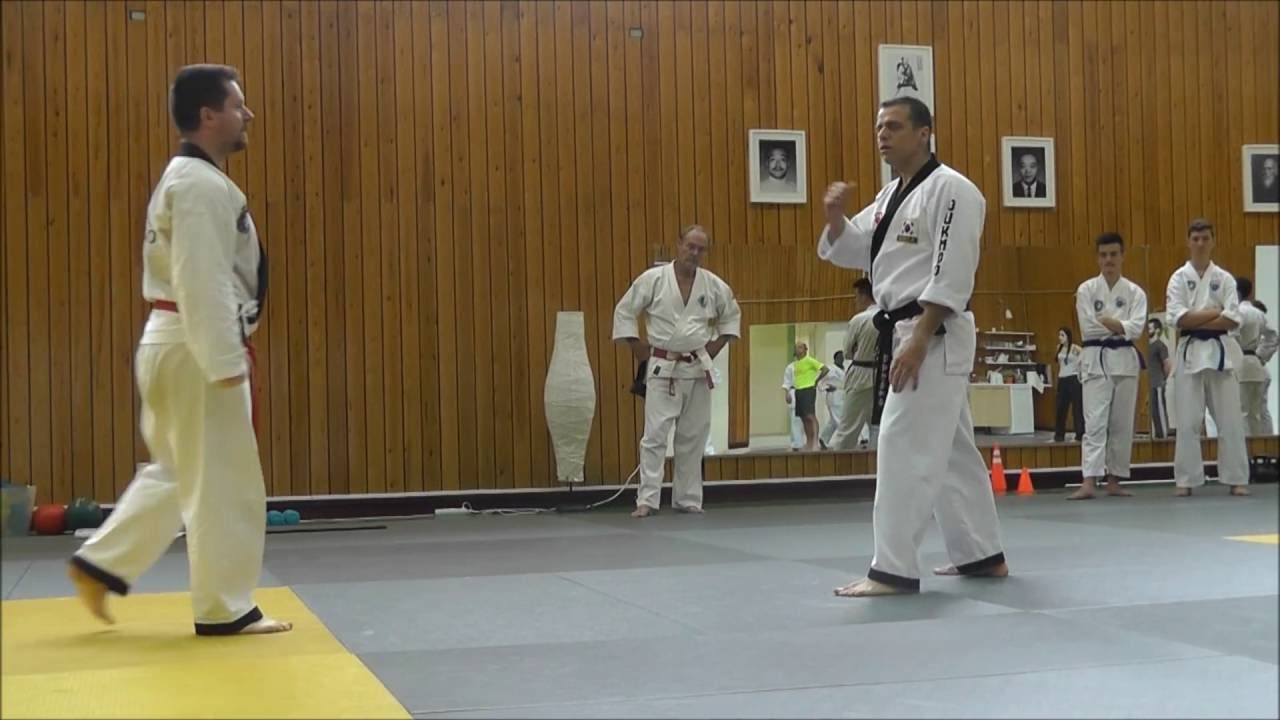 Athens BUDO Seminar 2014 (Hapkido ANTONIS PAPPAS Period)