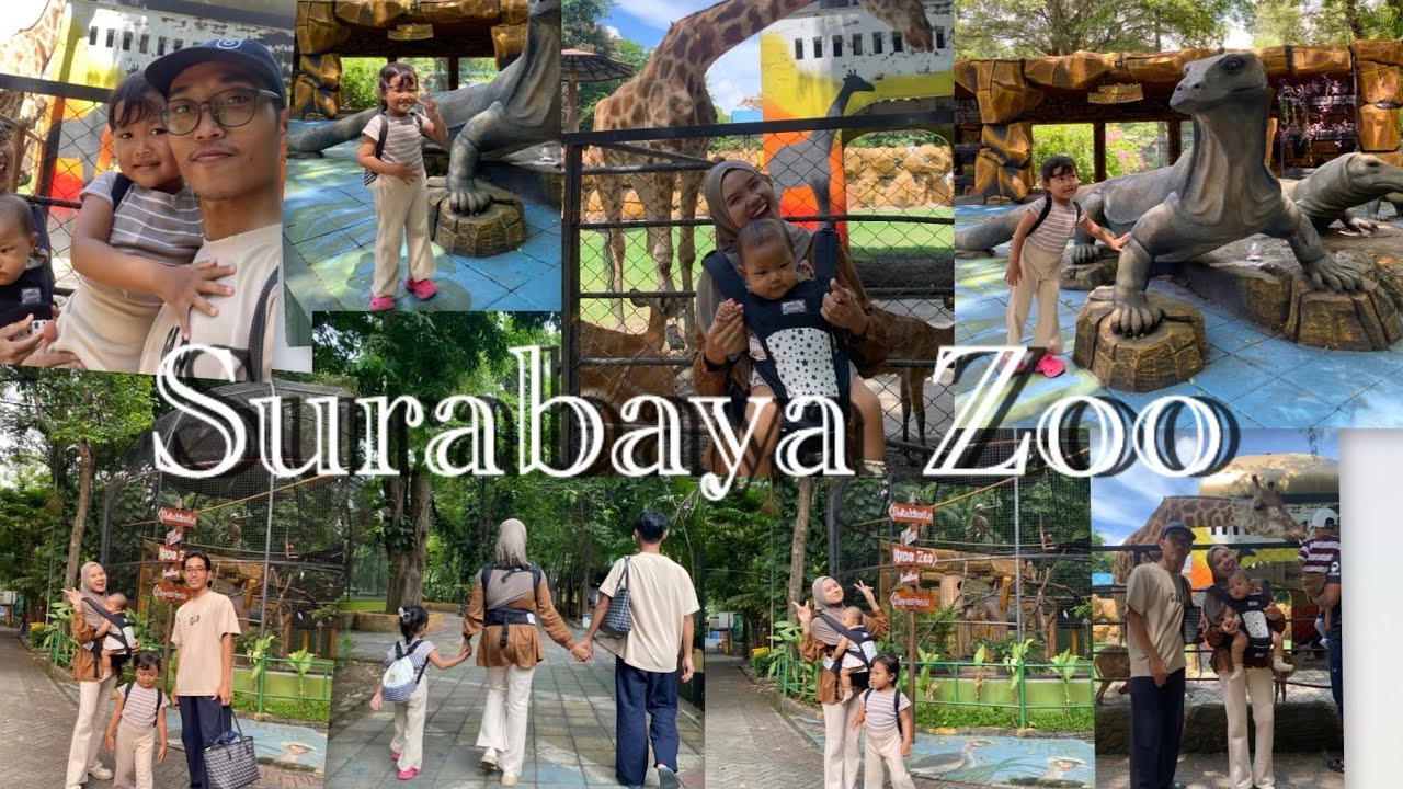 Surabaya zoo ( vidio di ambil apa adanya🙏🏻 )