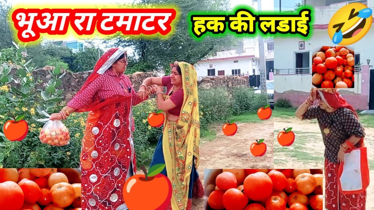 टमाटर स्पेशल कॉमेडी 😂😂 || दूसरा का हक खाने वाली लूगाई को हाल देख ल्यो  || Rajasthanihariyanvicomedy