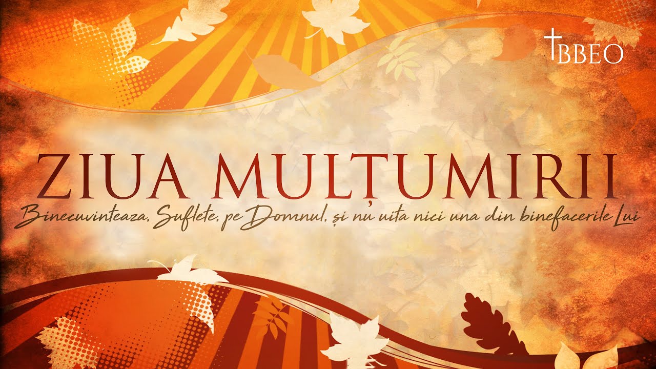 10.11.2024 AM | P. Negruț „Dar ceilalți nouă unde sunt?” - Luca 17: 11-19