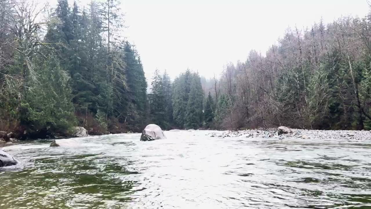 Amazing river and its sounds good for sleeping studying motivation meditation 