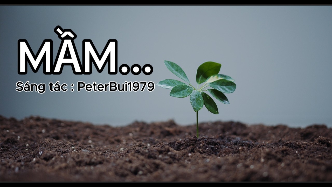 Ca khúc : MẦM ...   I@PeterBui1979    #amnhac #xuhuongyoutube #NhacHayMoiNgay