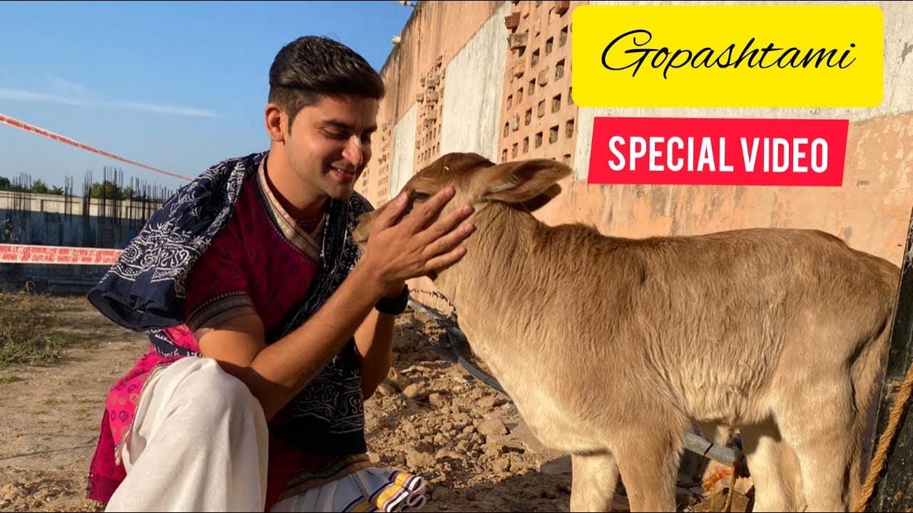 Gopashtami Special Video | Govind Krsna Das | GKD | Short Clip
