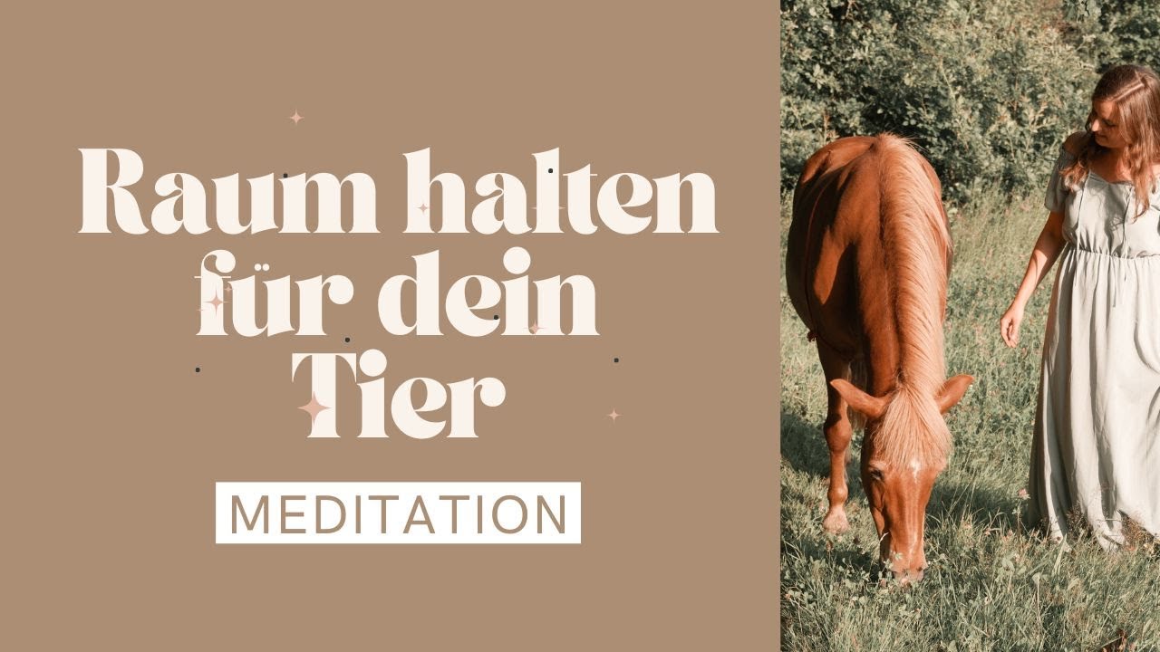 Gemeinsame Meditation mit deinem Tier, Raum halten und entspannen f&uuml;r dein Tier, Holding Space