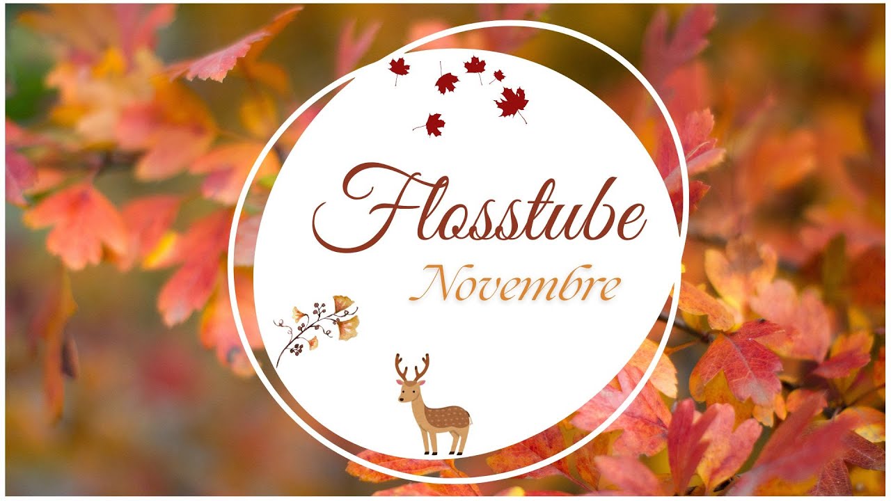 Flosstube de Novembre 🍂 #flosstube
