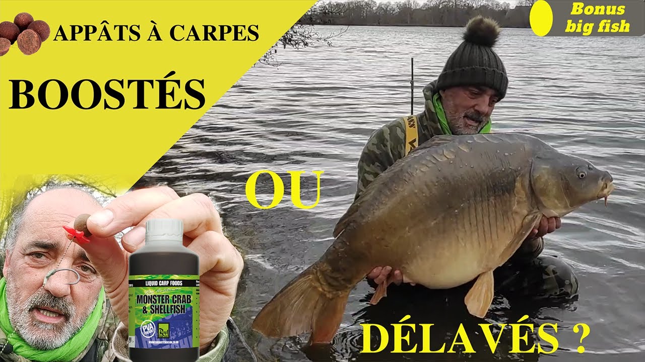 App&acirc;ts &agrave; carpes : Boost&eacute;s ou d&eacute;lav&eacute;s ?