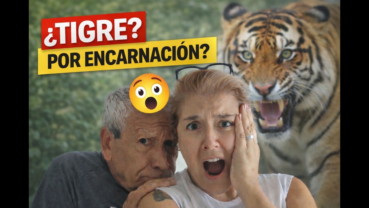 ¿Un TIGRE por Encarnación? 🫣