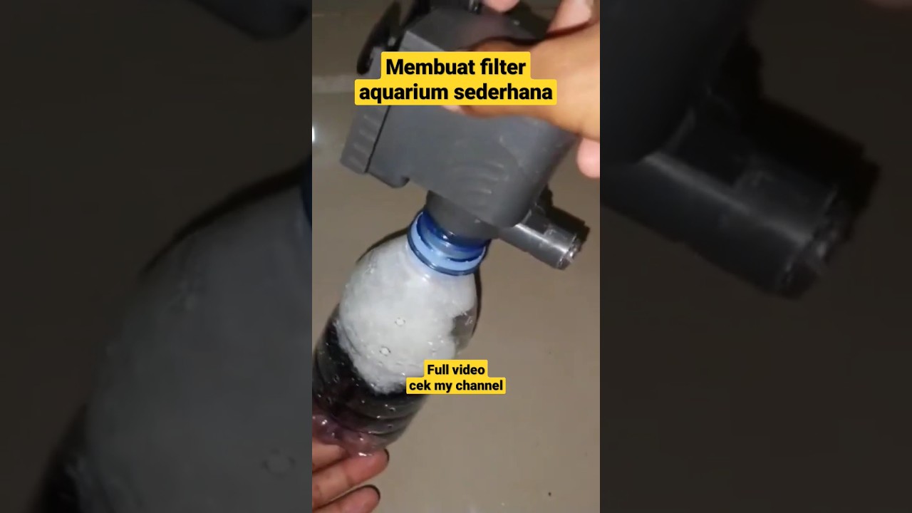 Membuat filter aquarium sederhana #shorts