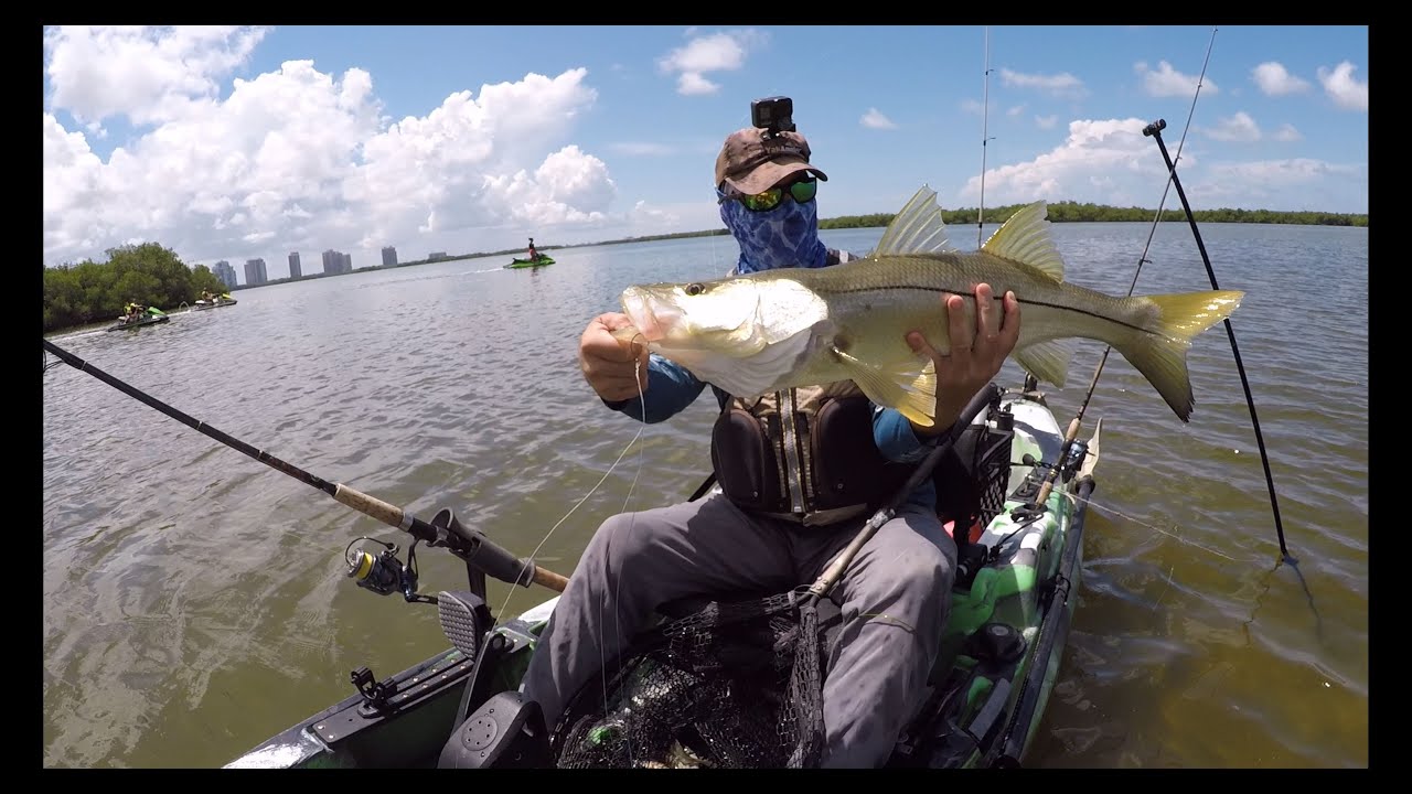 Big Estero Bay Florida Snook From the Old Town PDL Kayak