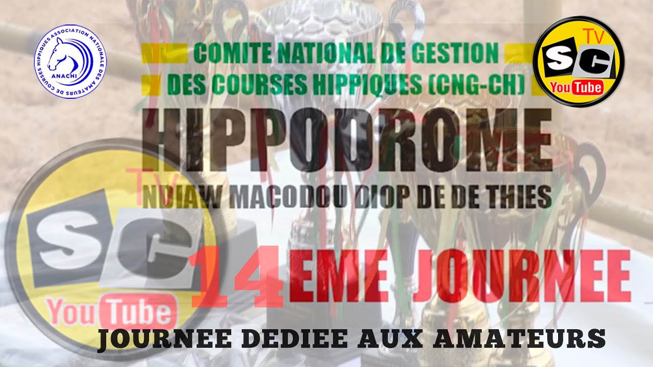 14 eme journée dédiée aux amateurs