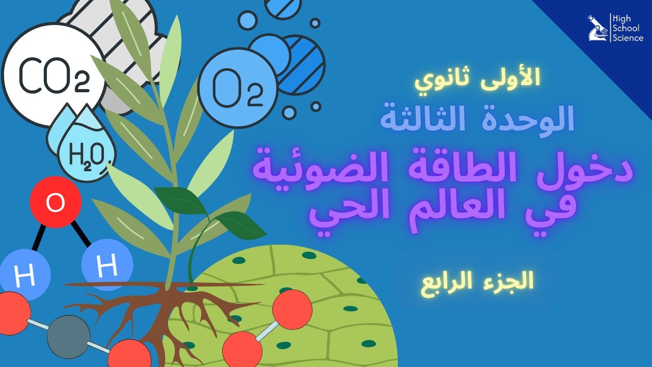 الأولى ثانوي علمي | دخول الطاقة الضوئية في العالم الحي | 🔶 ملخص الوحدة 🔥 (الجزء الرابع)