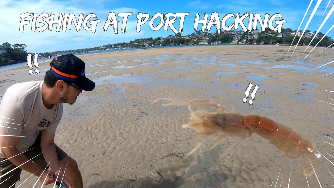 #21 Bream・Kingfish・Banjo Shark｜Port Hacking Sydney Fishing  【豪州シドニー釣り】ヤビーパンプでエサ確保！ポートハッキングで五目釣り