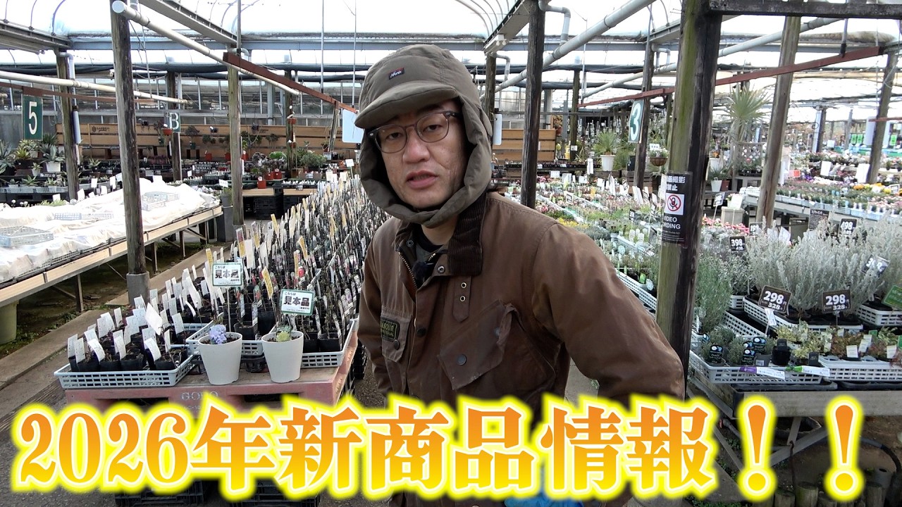 今年の新商品はコレが熱い！！【カーメン君】【園芸】【ガーデニング】
