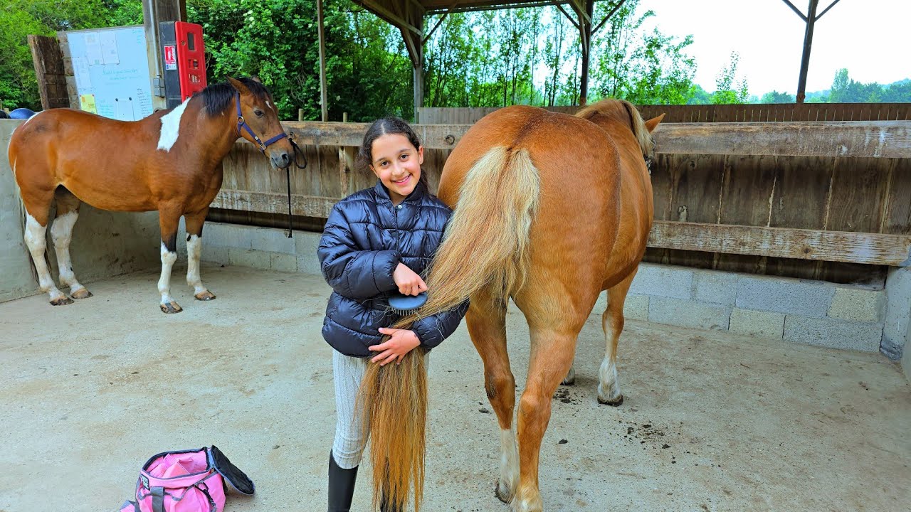 une après midi avec mon cheval #sistersalipour #luniversdediana
